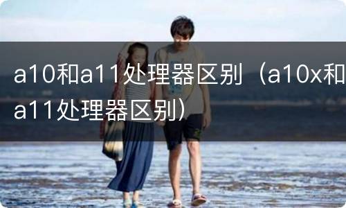 a10和a11处理器区别（a10x和a11处理器区别）
