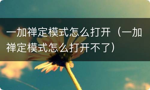 一加禅定模式怎么打开（一加禅定模式怎么打开不了）