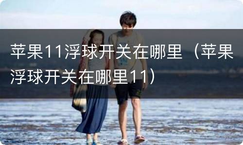 苹果11浮球开关在哪里（苹果浮球开关在哪里11）