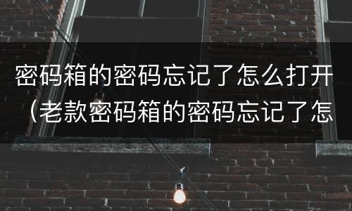 密码箱的密码忘记了怎么打开（老款密码箱的密码忘记了怎么打开）