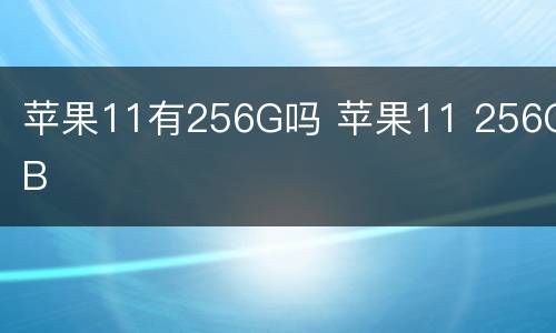 苹果11有256G吗 苹果11 256GB