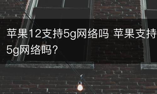 苹果12支持5g网络吗 苹果支持5g网络吗?