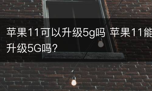 苹果11可以升级5g吗 苹果11能升级5G吗?