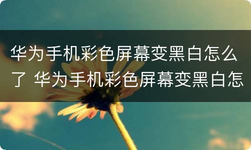华为手机彩色屏幕变黑白怎么了 华为手机彩色屏幕变黑白怎么了?没有开发人员选项
