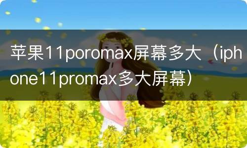 苹果11poromax屏幕多大（iphone11promax多大屏幕）