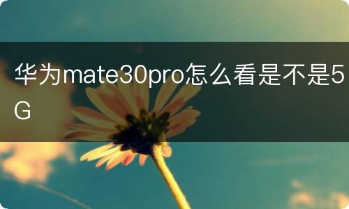 华为mate30pro怎么看是不是5G