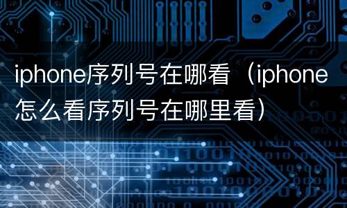 iphone序列号在哪看（iphone怎么看序列号在哪里看）