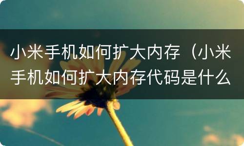 小米手机如何扩大内存（小米手机如何扩大内存代码是什么）