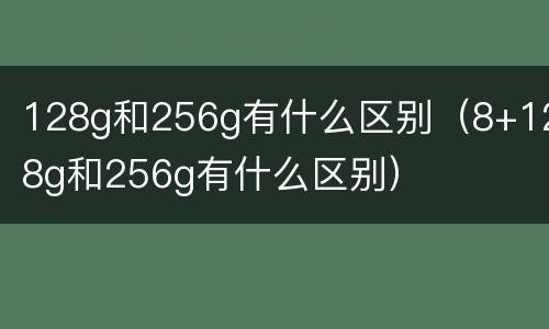 128g和256g有什么区别（8+128g和256g有什么区别）