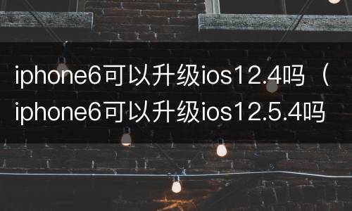 iphone6可以升级ios12.4吗（iphone6可以升级ios12.5.4吗）