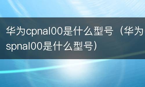 华为cpnal00是什么型号（华为spnal00是什么型号）