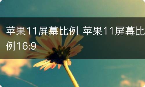 苹果11屏幕比例 苹果11屏幕比例16:9