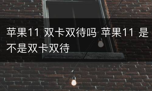 苹果11 双卡双待吗 苹果11 是不是双卡双待