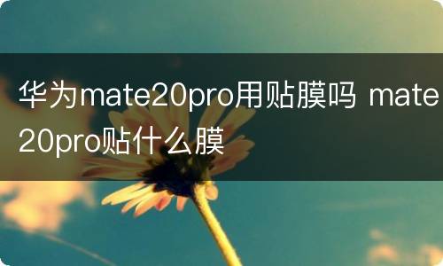 华为mate20pro用贴膜吗 mate20pro贴什么膜