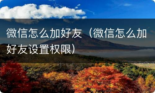 微信怎么加好友（微信怎么加好友设置权限）