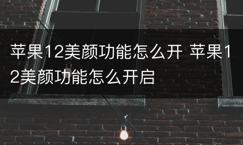 苹果12美颜功能怎么开 苹果12美颜功能怎么开启