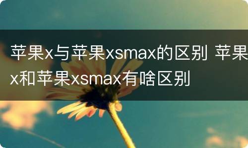 苹果x与苹果xsmax的区别 苹果x和苹果xsmax有啥区别