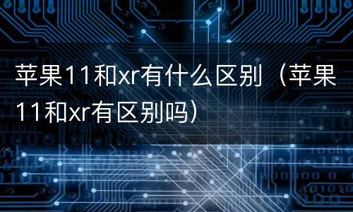 苹果11和xr有什么区别（苹果11和xr有区别吗）