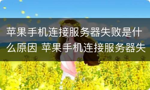 苹果手机连接服务器失败是什么原因 苹果手机连接服务器失败是什么原因呢