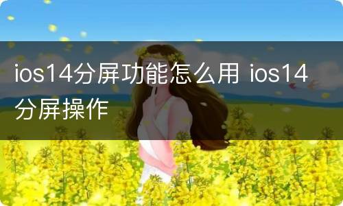 ios14分屏功能怎么用 ios14 分屏操作
