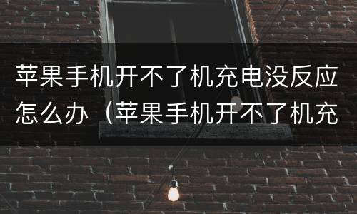 苹果手机开不了机充电没反应怎么办（苹果手机开不了机充电没反应怎么办呢）