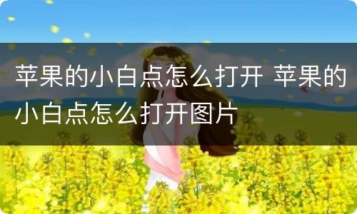 苹果的小白点怎么打开 苹果的小白点怎么打开图片