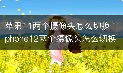 苹果11两个摄像头怎么切换 iphone12两个摄像头怎么切换