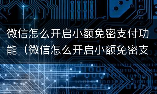 微信怎么开启小额免密支付功能（微信怎么开启小额免密支付功能设置）