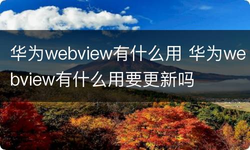 华为webview有什么用 华为webview有什么用要更新吗