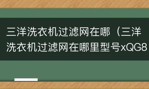 三洋洗衣机过滤网在哪（三洋洗衣机过滤网在哪里型号xQG80-L1088Bxs）