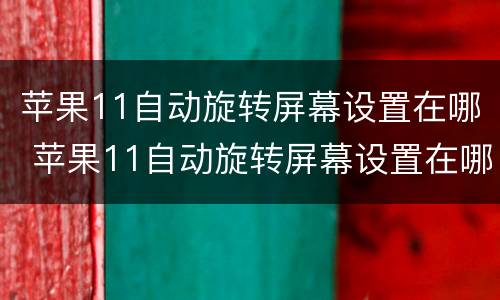 苹果11自动旋转屏幕设置在哪 苹果11自动旋转屏幕设置在哪里