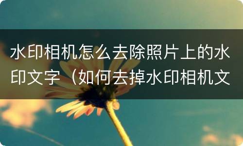 水印相机怎么去除照片上的水印文字（如何去掉水印相机文字）