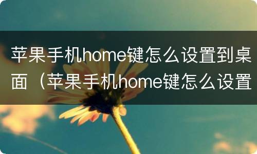 苹果手机home键怎么设置到桌面（苹果手机home键怎么设置到桌面拖动不了）