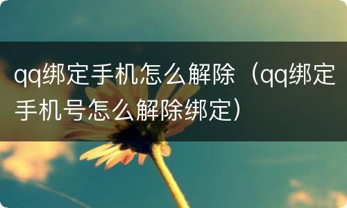 qq绑定手机怎么解除（qq绑定手机号怎么解除绑定）