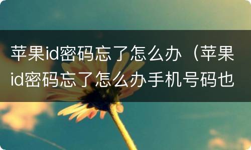苹果id密码忘了怎么办（苹果id密码忘了怎么办手机号码也换了）