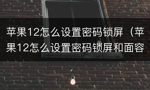 苹果12怎么设置密码锁屏（苹果12怎么设置密码锁屏和面容解锁）