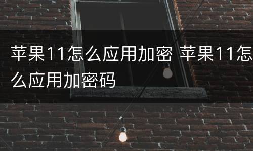 苹果11怎么应用加密 苹果11怎么应用加密码