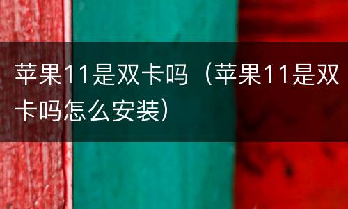 苹果11是双卡吗（苹果11是双卡吗怎么安装）