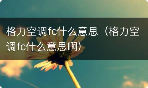 格力空调fc什么意思（格力空调fc什么意思啊）