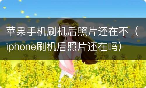 苹果手机刷机后照片还在不（iphone刷机后照片还在吗）