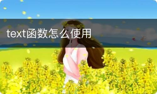 text函数怎么使用