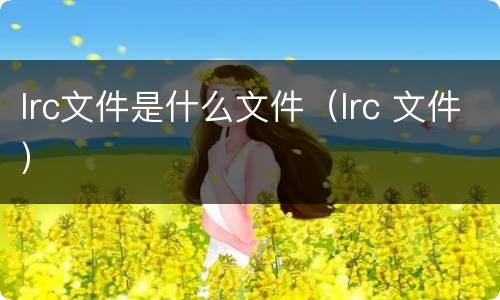 lrc文件是什么文件（lrc 文件）