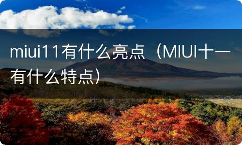 miui11有什么亮点（MIUI十一有什么特点）