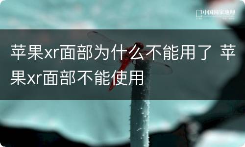 苹果xr面部为什么不能用了 苹果xr面部不能使用