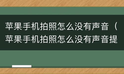 苹果手机拍照怎么没有声音（苹果手机拍照怎么没有声音提醒）