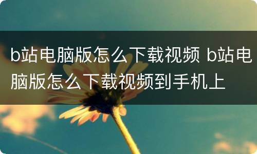 b站电脑版怎么下载视频 b站电脑版怎么下载视频到手机上