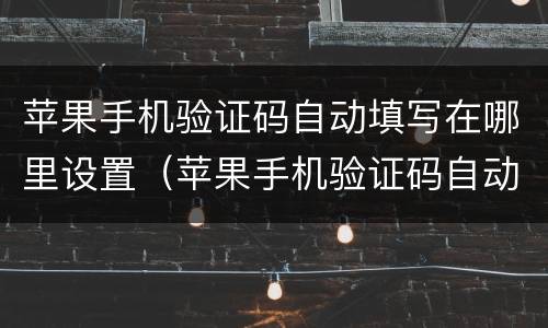 苹果手机验证码自动填写在哪里设置（苹果手机验证码自动填写在哪里设置的）