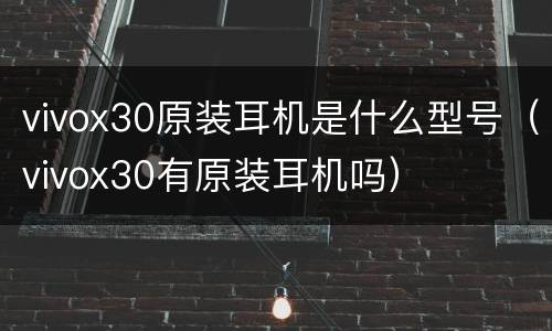 vivox30原装耳机是什么型号（vivox30有原装耳机吗）