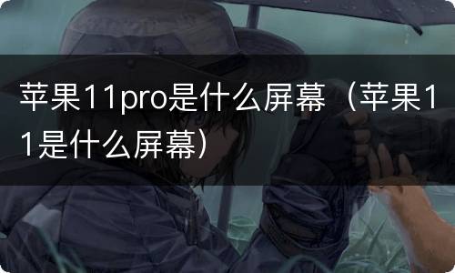 苹果11pro是什么屏幕（苹果11是什么屏幕）