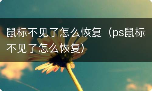 鼠标不见了怎么恢复（ps鼠标不见了怎么恢复）